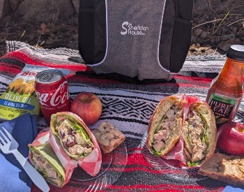 gray backpack on red blanket with a picnic with drinks, chips, apples, cookie & sandwiches